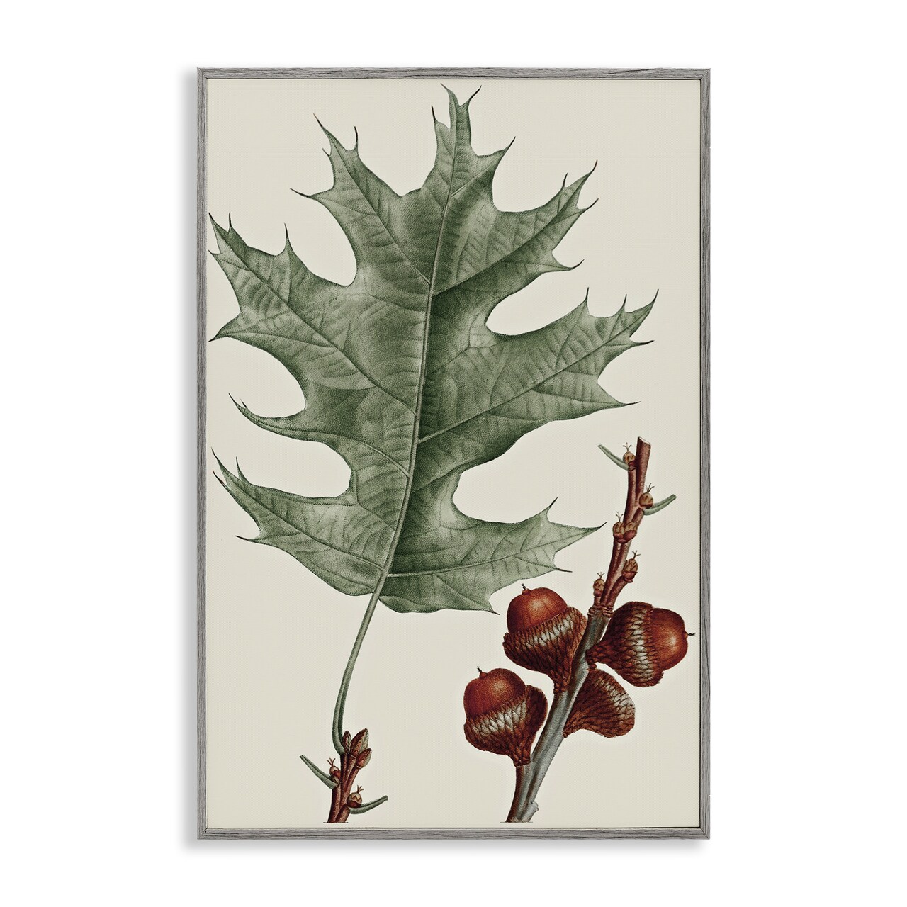 Stupell Industries Vintage Black Oak Leaf Framed Giclee Wall Art Design by Graffi*tee Studios